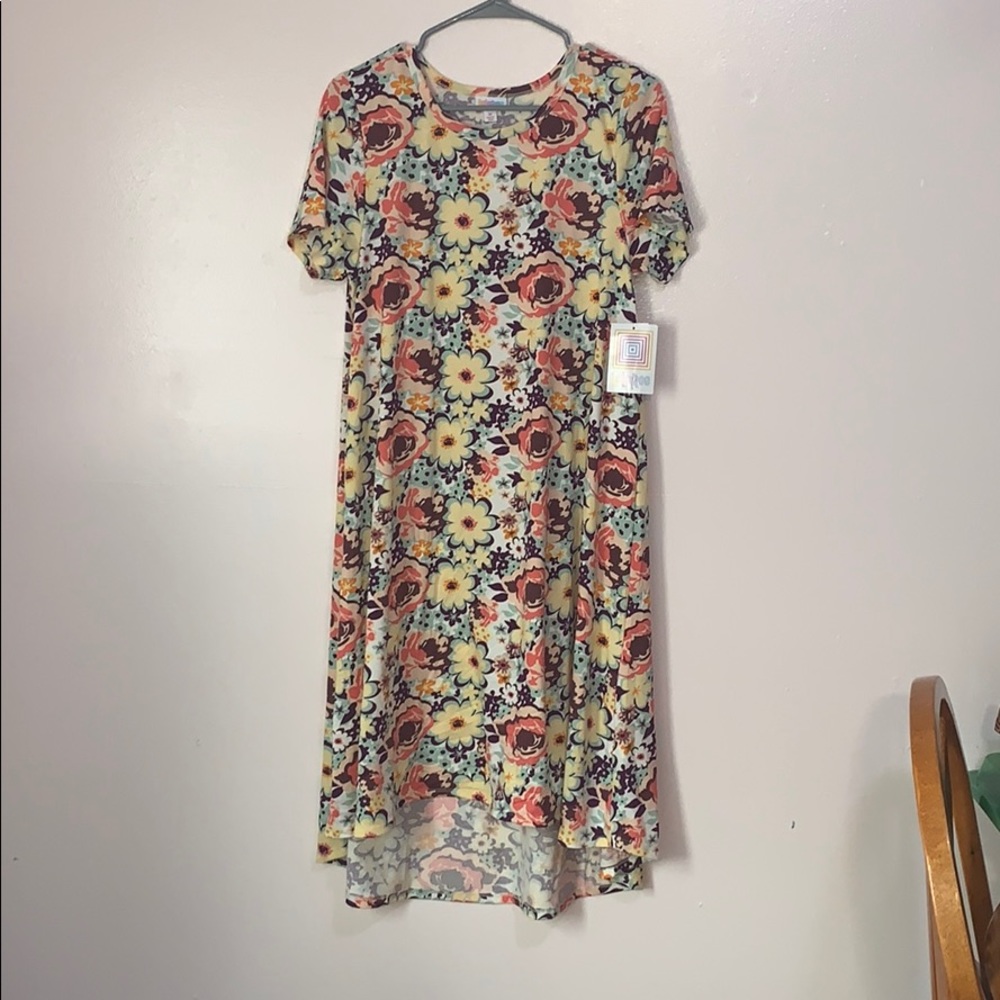 Lularoe Floral Carly Dress